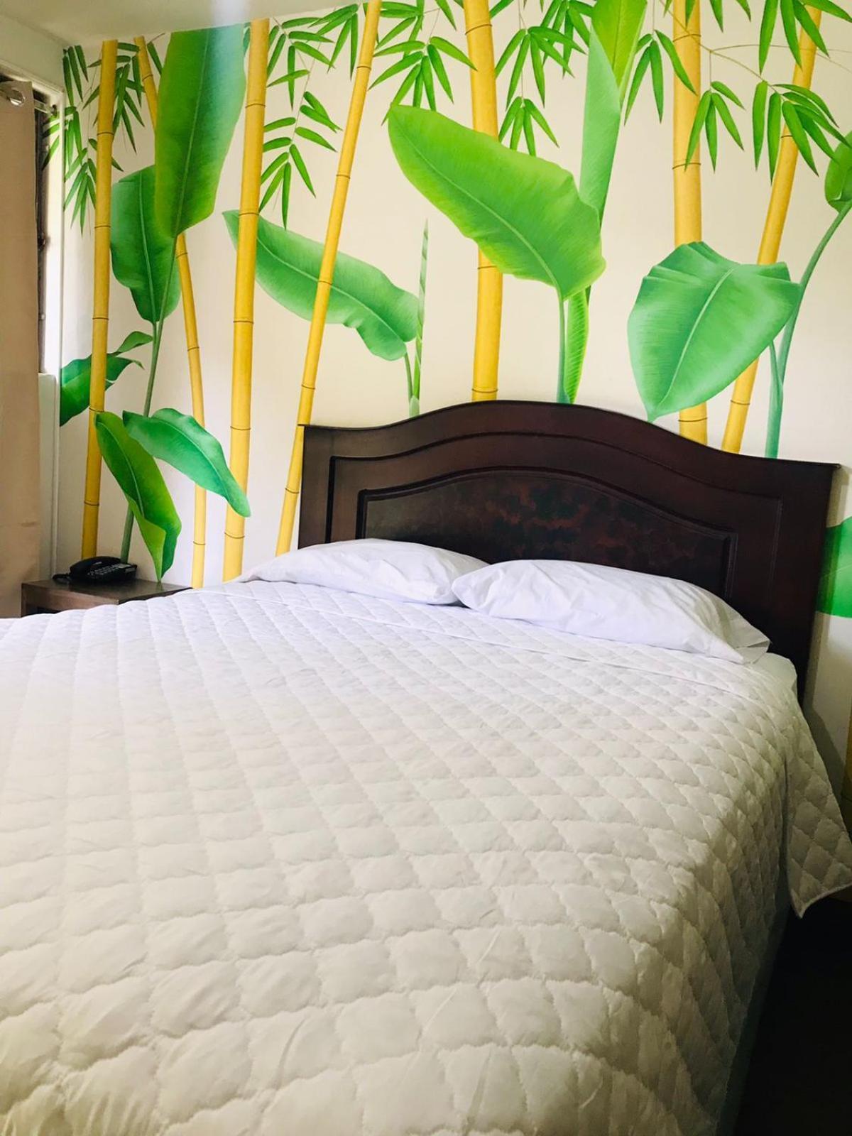 Hotel Ariana San Pedro La Laguna Dış mekan fotoğraf